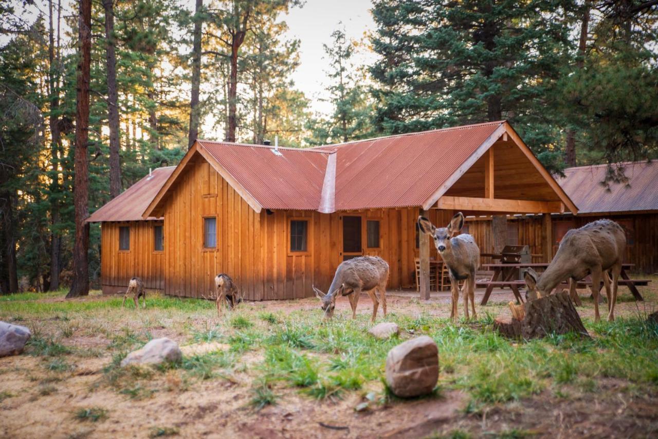 Corkins Lodge Chama Exterior foto